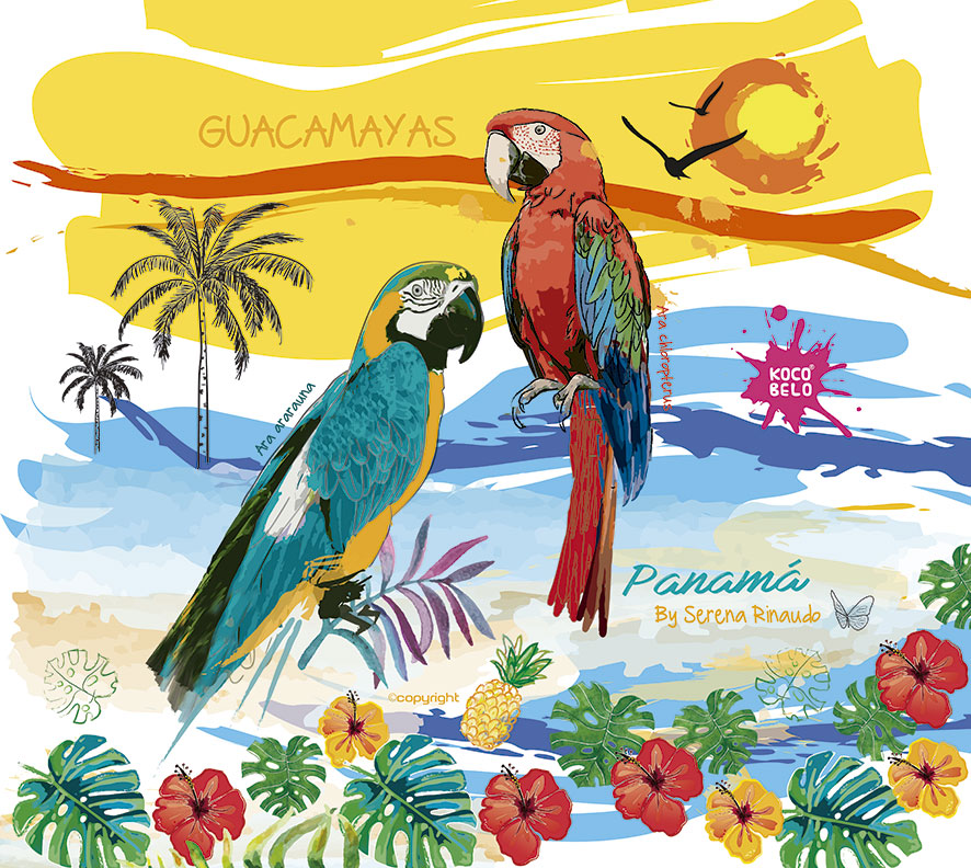Guacamaya poster 30x50cm